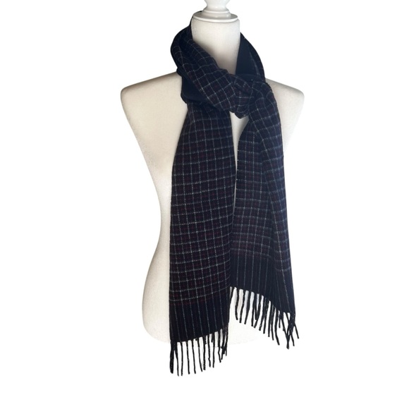 J. Crew Accessories - J.Crew Cashmere winter long scarf unisex luxury comfy coat fringe blue red soft